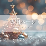 11/4  もか様専用ページ