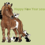 にゃん賀状2026　午年　30枚セット　送料無料！