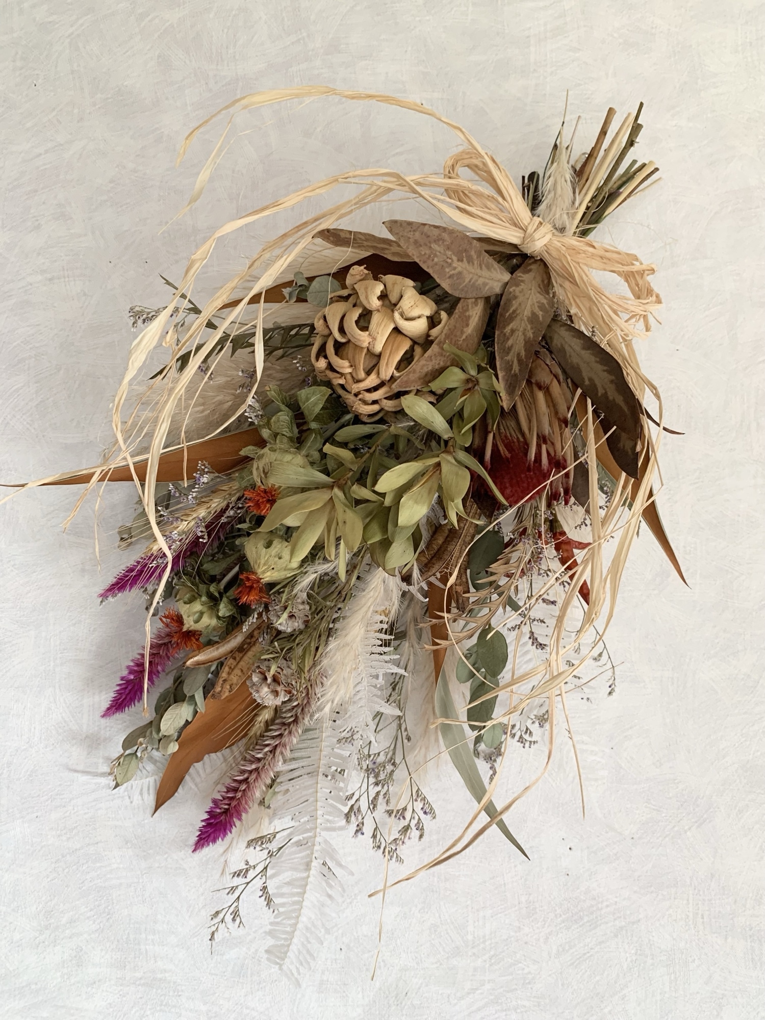 創作スワッグ　プロテア＆キュウイツル プロテアとキウイつるのスワッグ パンパス 秋 ドライフラワー | iichi