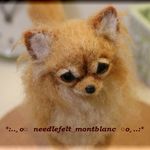 羊毛フェルト　犬　チワワ　ロングコート　レッド