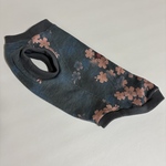 犬服　KDM（カニンヘンダックスフンド♀Mサイズ）