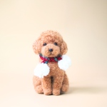 いつでもいっしょ♪ ふわふわ大きなレッドトイプードル　犬のぬいぐるみ　ギフト