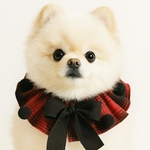 ぽんぽん襟巻きスタイ先染め起毛チェック柄ペットスタイ　ペットアクセサリー　お名前入り