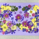 NO.①お買い得品❣️フラワーガーデン／押し花素材