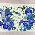 NO.④お買い得品❣️フラワーガーデン／押し花素材