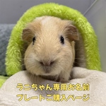 ラニちゃん専用うちの子お名前プレートご購入ページ