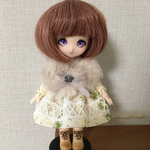オビツ11サイズ　秋のおすましセット