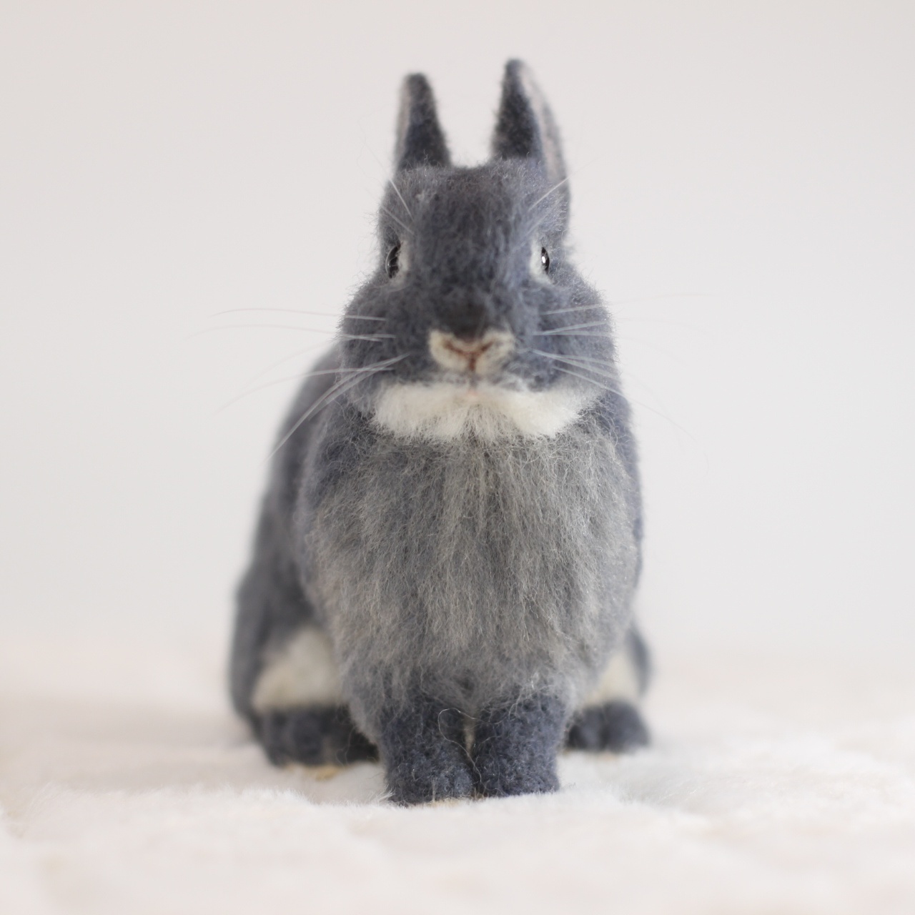 うさぎ 羊毛フェルト ネザーランドドワーフ ブルーオター - あじさい