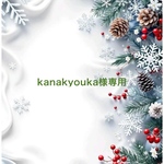 クリスマスフライングリース