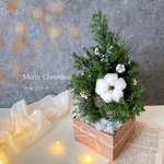 卓上クリスマスツリー＊30㎝＊コットン