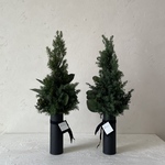 ✴︎特集掲載✴︎クリスマスミニツリー（slim）