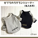 🦓ゼブラのラグラントレーナー🦓2026 干支　午年　犬服　おしゃれコーデ　防寒対策　小型犬　グレー　裏起毛　名入れ可