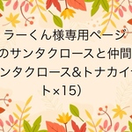 ラーくん様専用ページ　折り紙　笑顔のサンタクロースと仲間たち（2点セット×15）壁面飾り