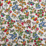 リバティiPhone5/5s/SE/6/6s用スマホカバー/スマホケース 