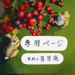 MM様  追加専用ページです（他の方はご購入できませんのでご注意下さい）