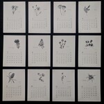 ２０２６寄添花  Ａ６