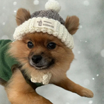 ♦期間限定♦再販【バイカラーニット帽】 ♦わんこ帽子/犬用帽子/ペット帽子/おうち写真/おしゃれ犬/おしゃれ猫/ペット用被り物/ニット帽
