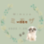 春の命名書　2026 （サンプル）