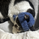 猫用バラクラバ