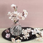 売切れ御免！淡雪桜のフェイクウォーターアレンジ（マジカルウォーター）