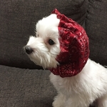 小型犬用スヌード　バンダナ（ペイズリー）柄