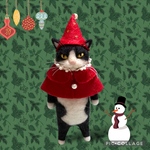 no.389 プレゼント仕様猫さん