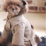 犬服　フリル付きコート　ウール　オーダー裏付き