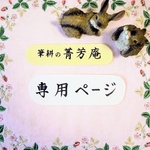 fumi-6様  専用ページです（他の方はご購入できませんのでご注意下さい）