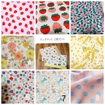 【入園入学　オーダー受付】ランチョンマット　ランチマット 二枚セット