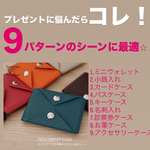 ☆Otemachi style☆ マルチウォレット(フラグメントケース) KSTMGD-01