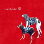 umechacha 様＊ご専用