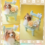 羊毛フェルト　ペットフラワーアレンジ、ベンチ、木製花器、ドール１個お花3輪（どの犬種でもOK）完全オーダーメイド