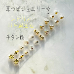 耳つぼジュエリー20粒☪︎天然石シトリン☪︎チタン粒