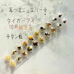 耳つぼジュエリー20粒☪︎天然石タイガーアイ☪︎チタン粒