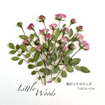 🌸秋のリトルウッズ　＊ 押し花