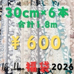 インド刺繍リボン 30cm 福袋 アソート ハッピーバッグ 2025 