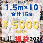 年末年始限定価格！！ インド刺繍リボン 1.5m 福袋 アソート ハッピーバッグ 2026