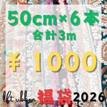 インド刺繍リボン 50cm 福袋 アソート ハッピーバッグ 2026