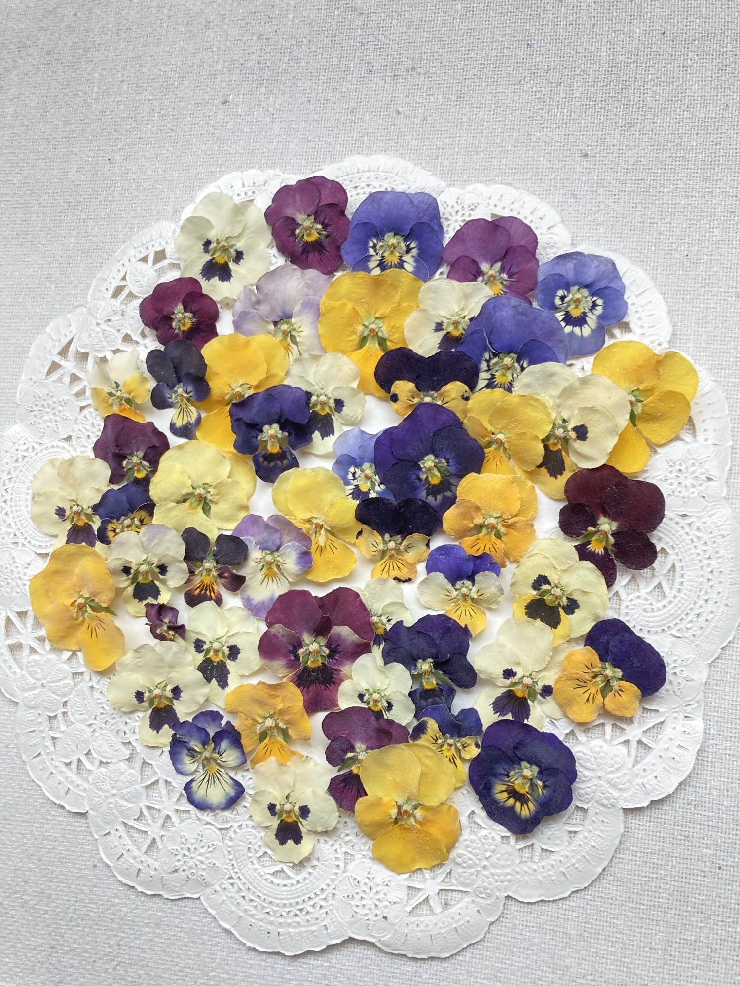 花かんざしドライフラワー - towa0308 | minne byGMOペパボ 国内最大級