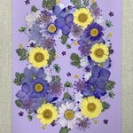 NO.⑳お買い得品❣️フラワーガーデン／押し花素材