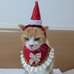 ニャンタクロース
