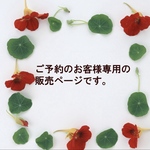 【ご予約のお客様専用】ピッグスエードの小さなポーチ　バイカラー　