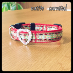 ワンちゃん首輪  ＝native  carnival＝ レッド
