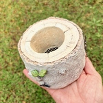 切り株風モルタルpot 白樺風　多肉鉢　モルタル鉢　サボテン鉢