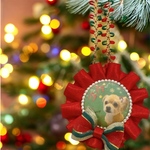 うちの子♡クリスマスロゼット
