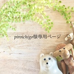 ⭐️piroichigo様専用ページ⭐️