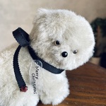 おすわりクマちゃん