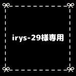 irys-29様専用