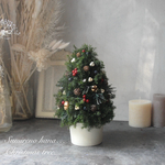 卓上クリスマスツリー🌲🎄✴︎~プリザーブドフラワー《高さ約24cm》自然素材