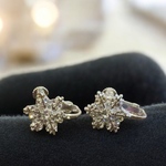 ❄︎la neige 雪❄︎ イヤリングorピアス